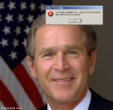 Bush